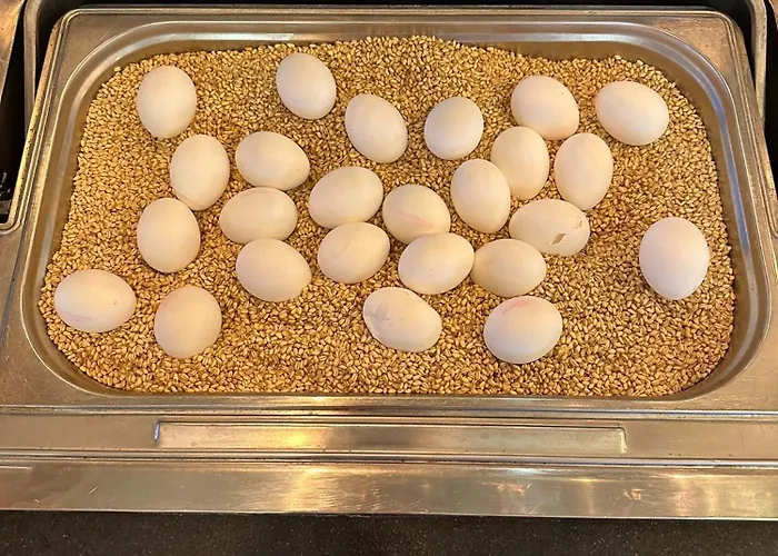 Grand Millennium קוניה